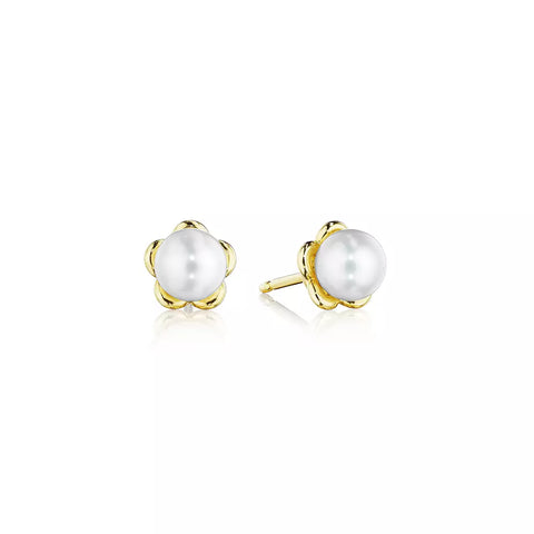Verragio Reverie Petite Tiara Pearl Stud Earrings 18K Gold