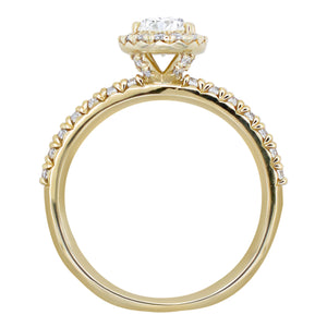 Complete Round Engagement Ring