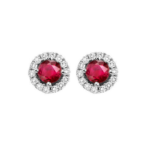 14kw color ens halo prong ruby earrings 1/7ct, fb1166-1wc