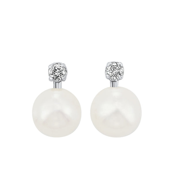 14kw cultured pearl earrings, rol1165m