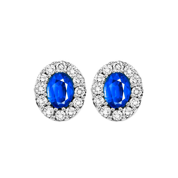 14kw color ens halo prong sapphire earrings 1/4ct, rg68795-4wc