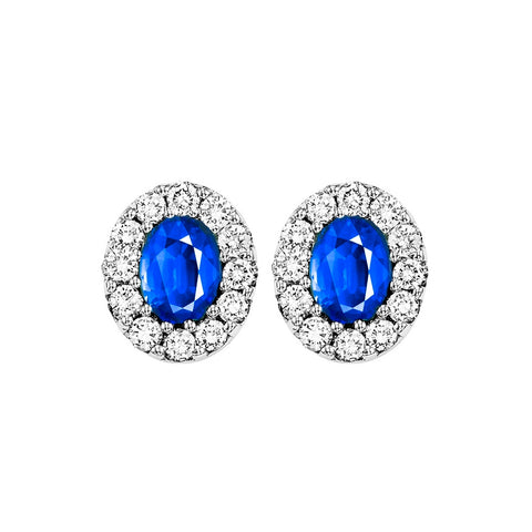 14kw color ens halo prong sapphire earrings 1/4ct, rg68795-4wc